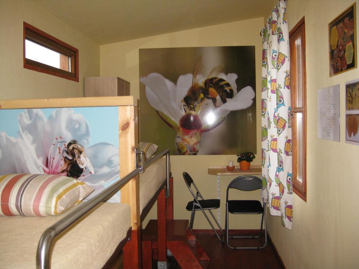 Apartmany Vcelka Hranice u Novych Hradu Экстерьер фото